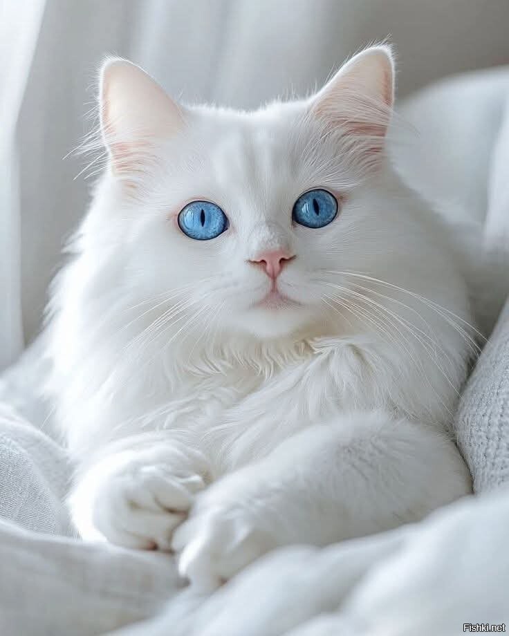 АКВАМАРИНКА