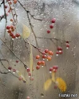 С добрым утром