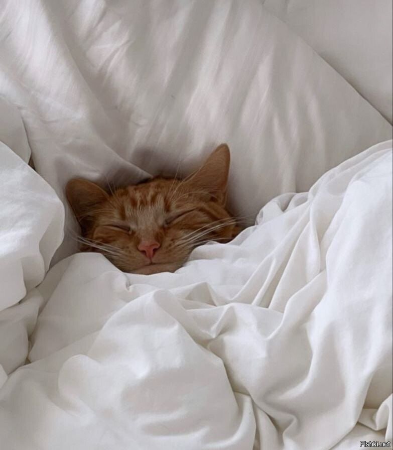 День расслабленности и беззаботности отмечается сегодня)