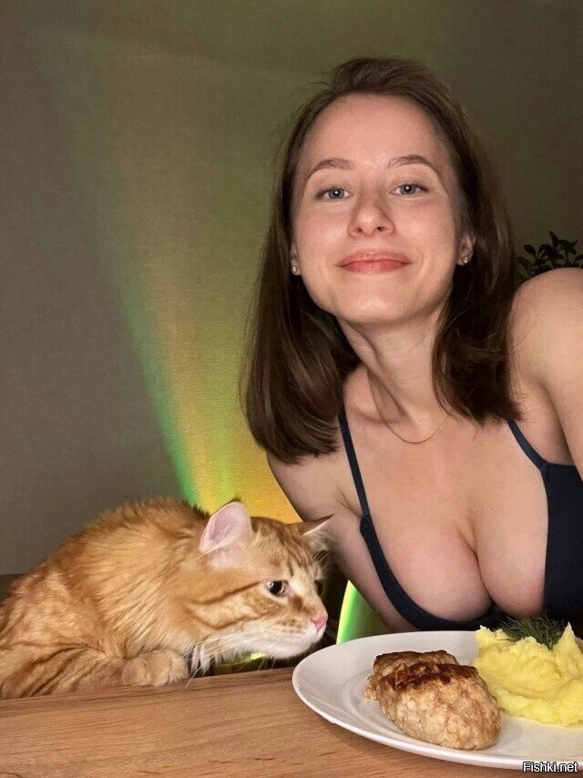 Комбо - сиси, котик и пюрешка