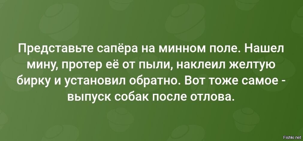 И ведь не поспоришь