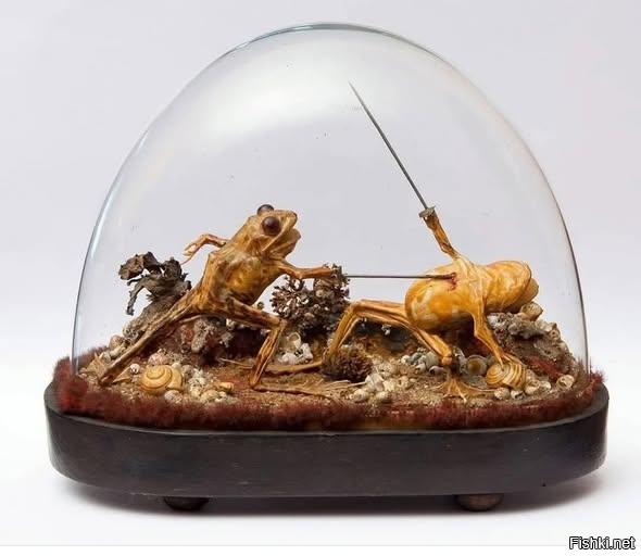 На изображении представлена викторианская таксидермическая композиция с двумя...