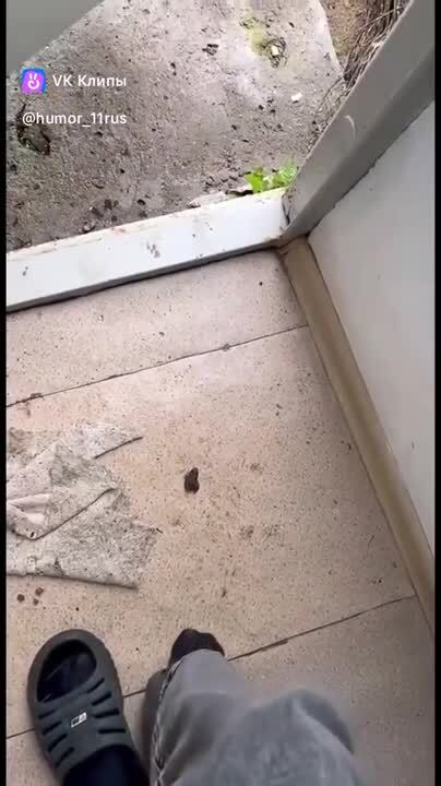 Как выглядит бан в реале