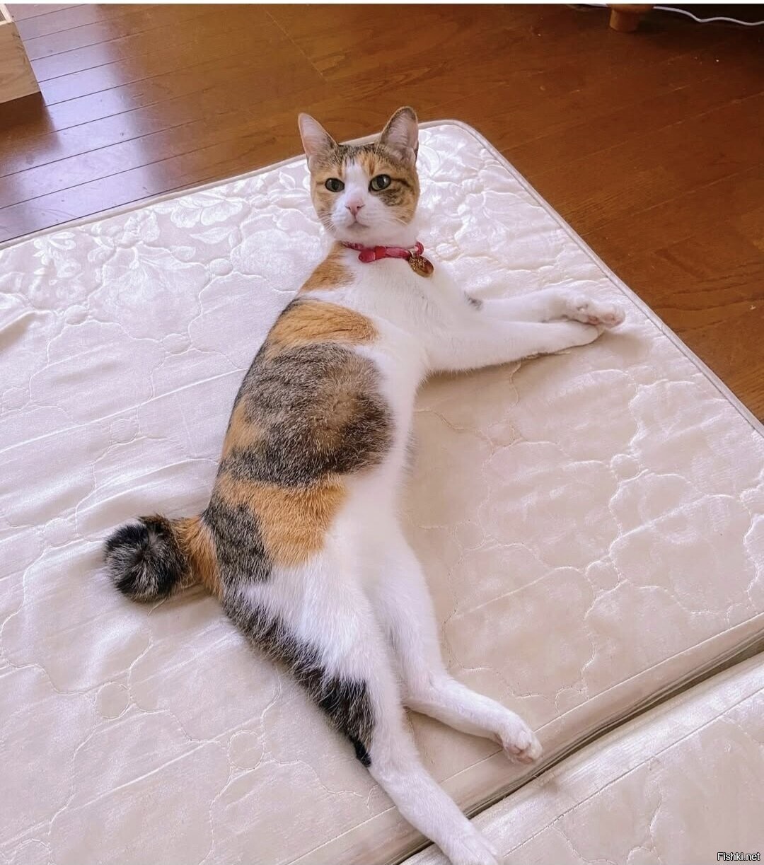 Доброе утро