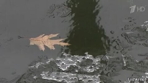 С добрым утром