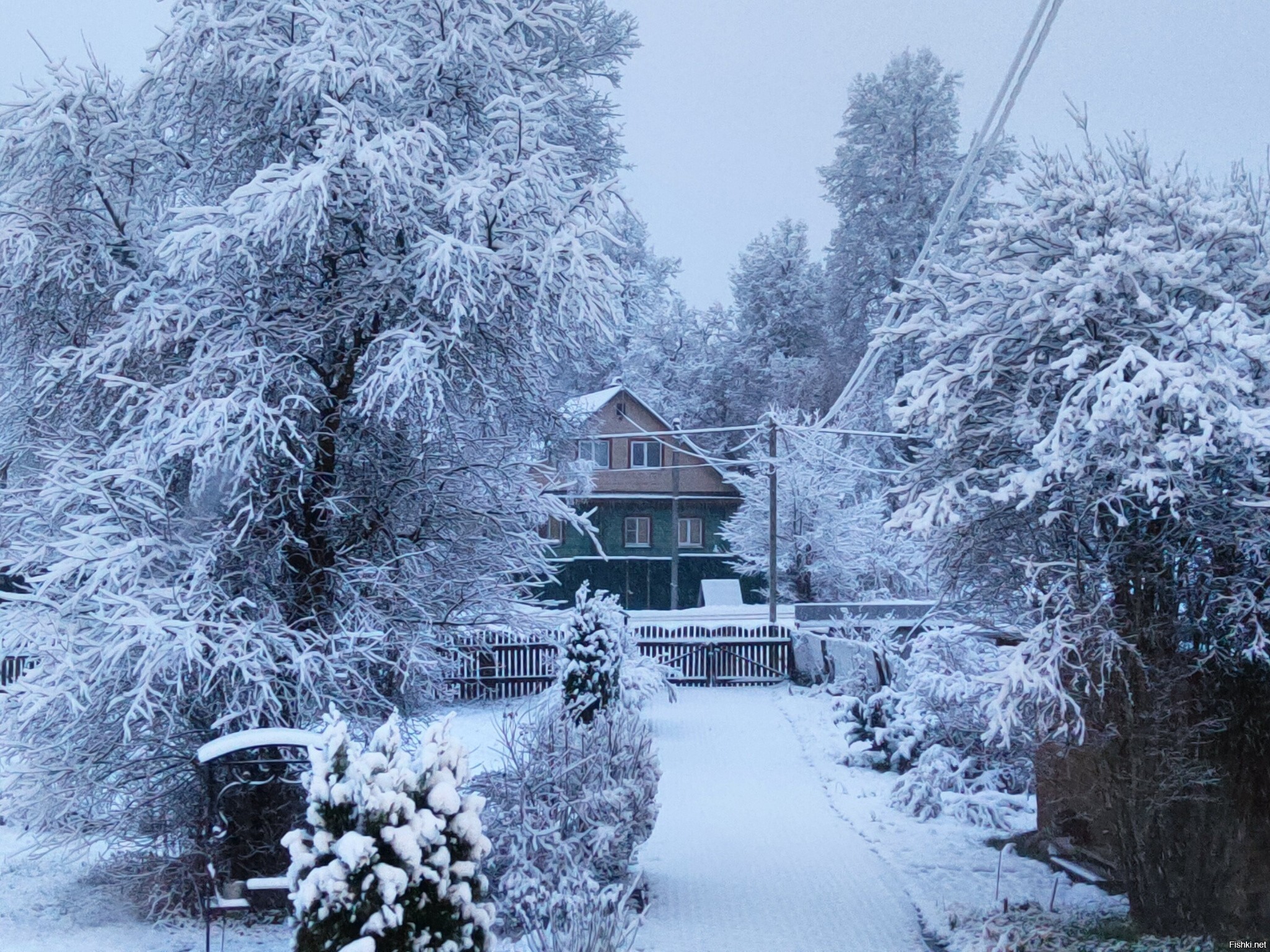 Первый пошёл
