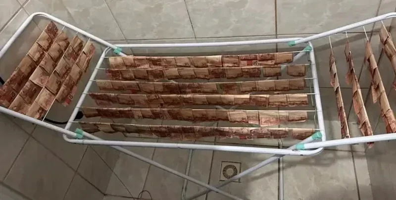 Бразильские полицейские показали, как выглядят по-настоящему отмытые деньги