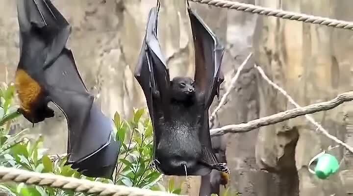 Вот оно как оказываецо