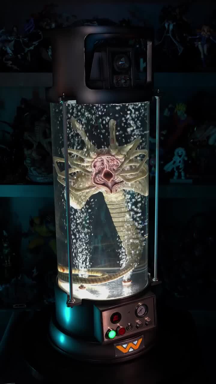 Ночник, ох, азиаты