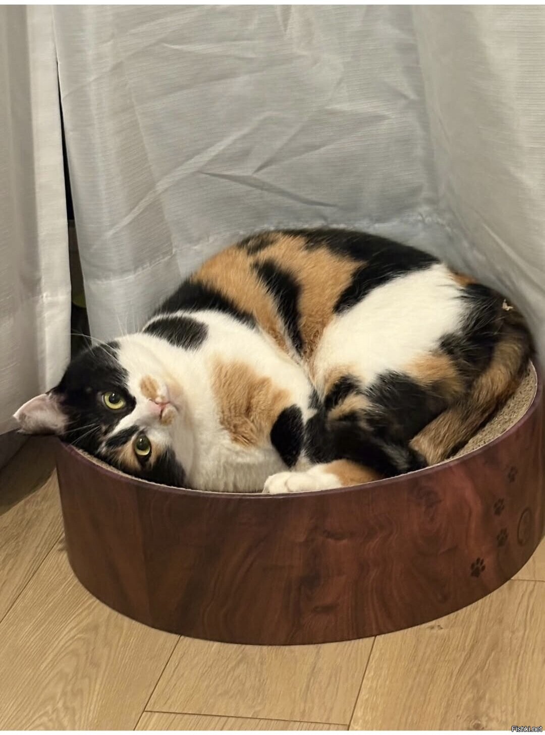 Доброе утро