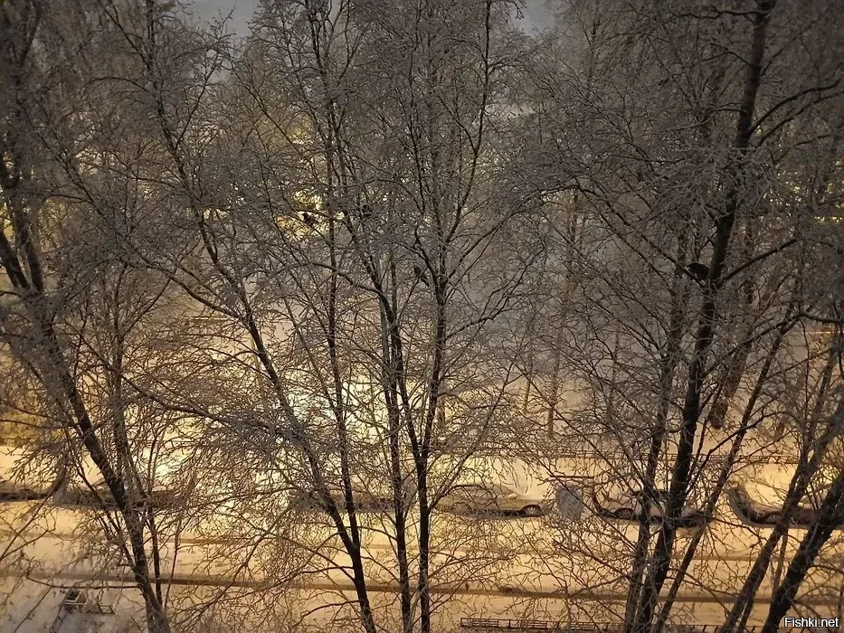 В Питере первый снег