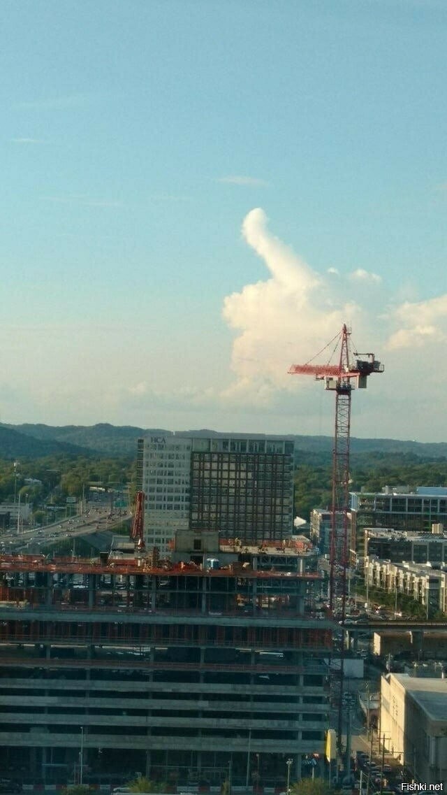 Хороший знак  Пошёл в K&amp;B