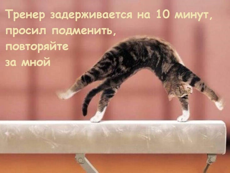 Веселые шутки-картинки