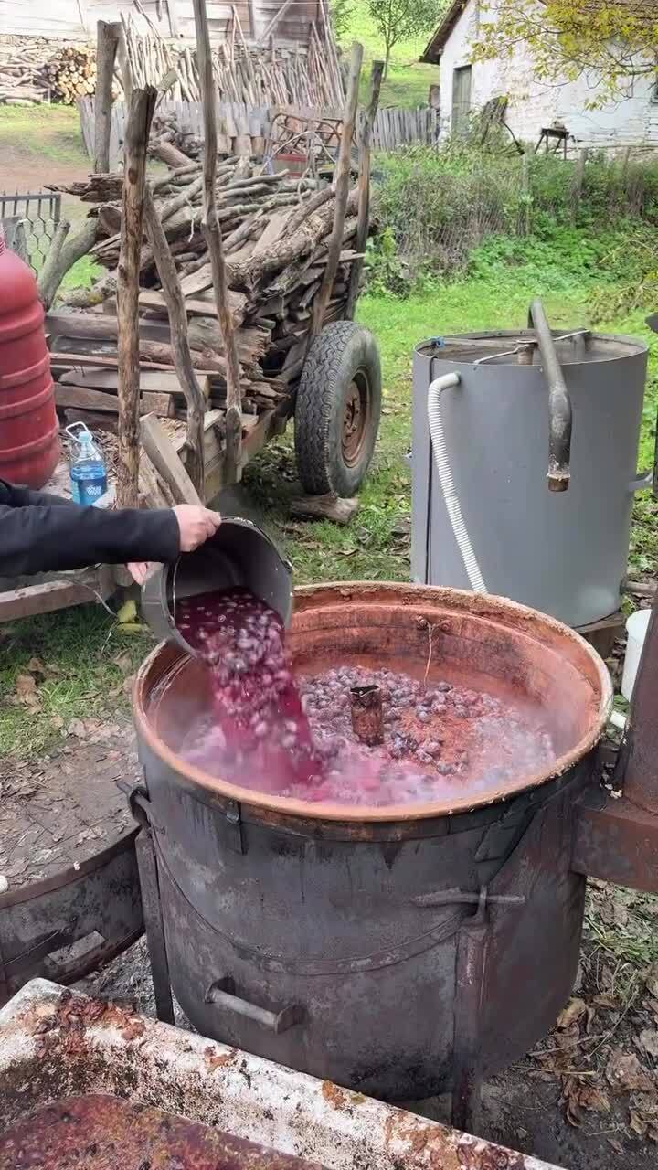 Приятно смотреть, когда люди заняты любимым делом
