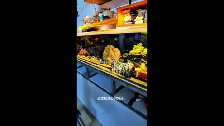 Китайский мастер придумал классный вариант украсить аквариум, а заодно развле...