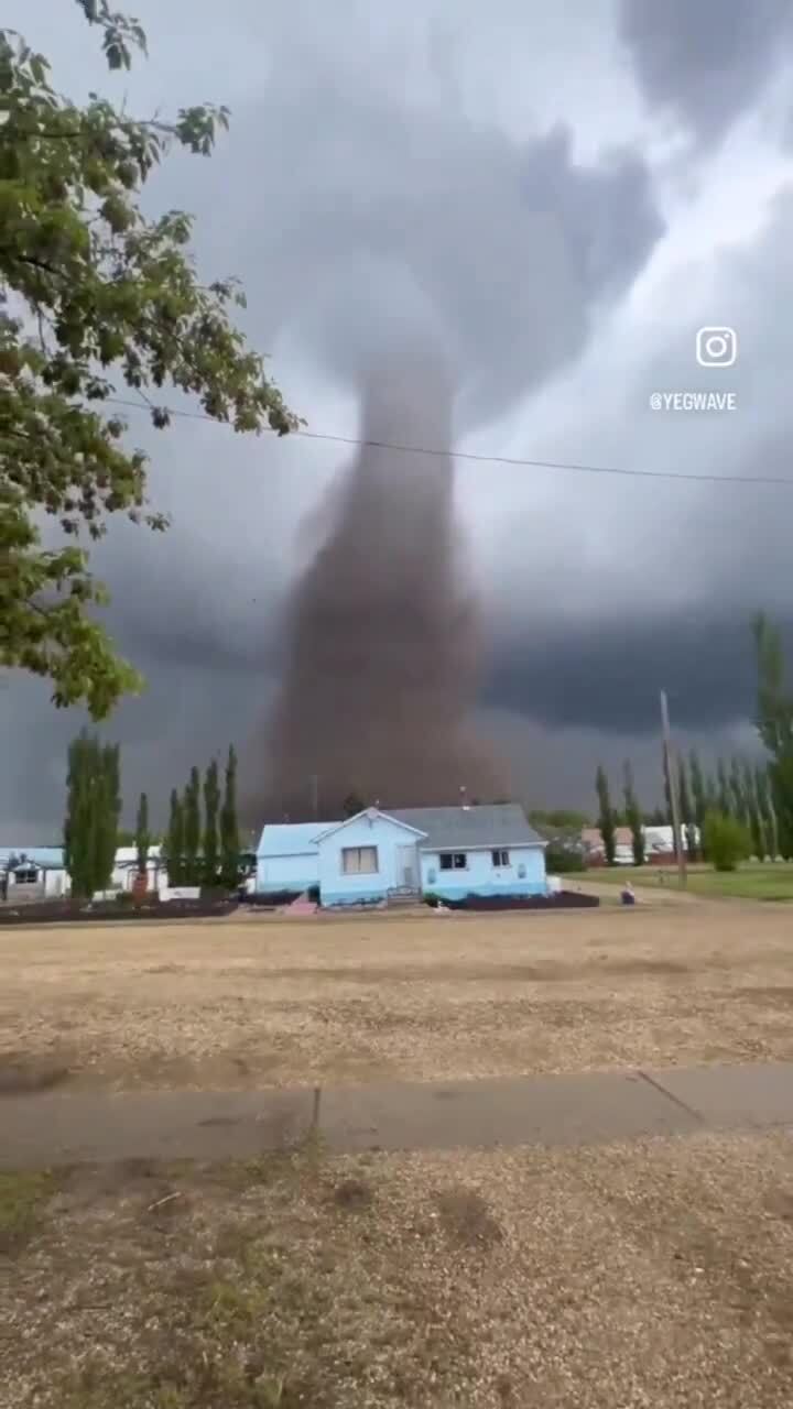 Природа занялась уборкой)