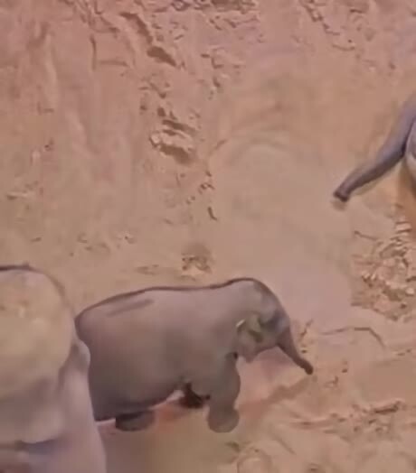 а говорили они стоя спят