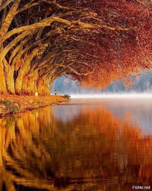 Бальденайзе — водохранилище на реке Рур в южной части города Эссен, Германия