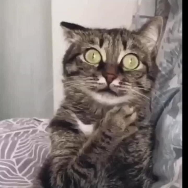 Всем, спокойной ночи