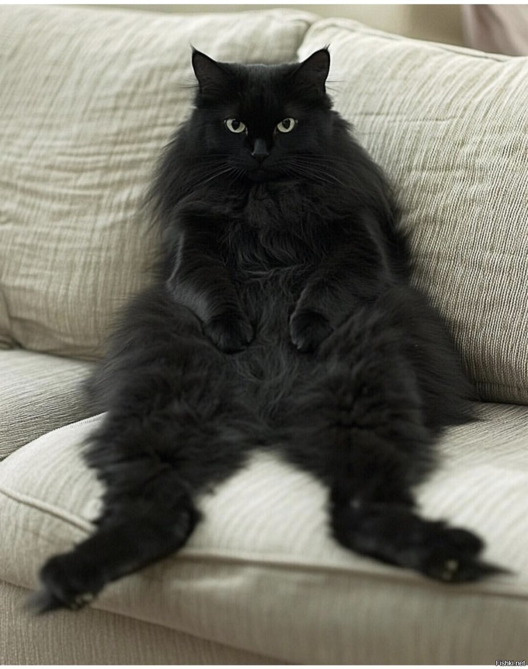 Доброе утро