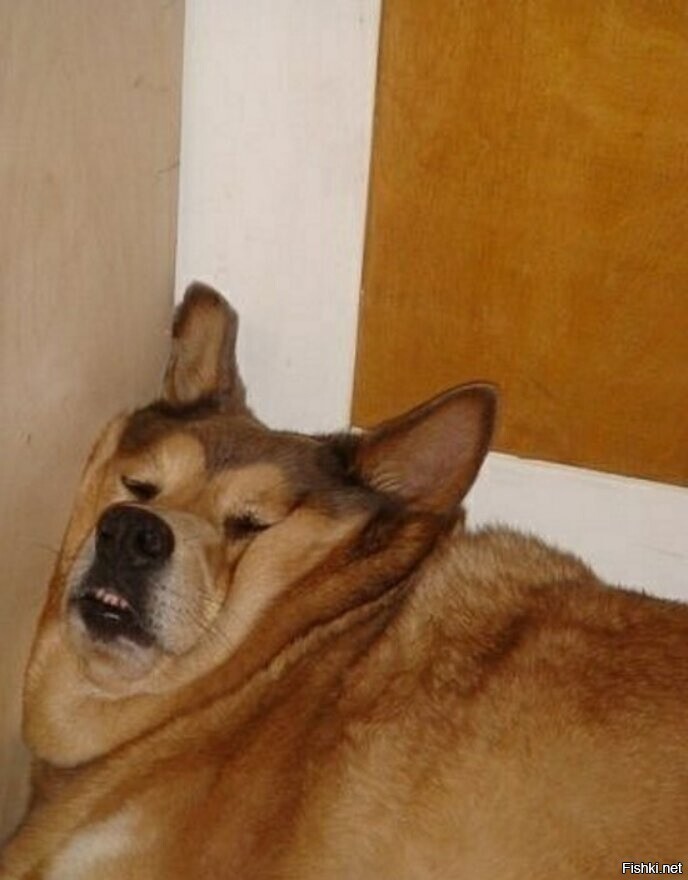 С понедельничком 