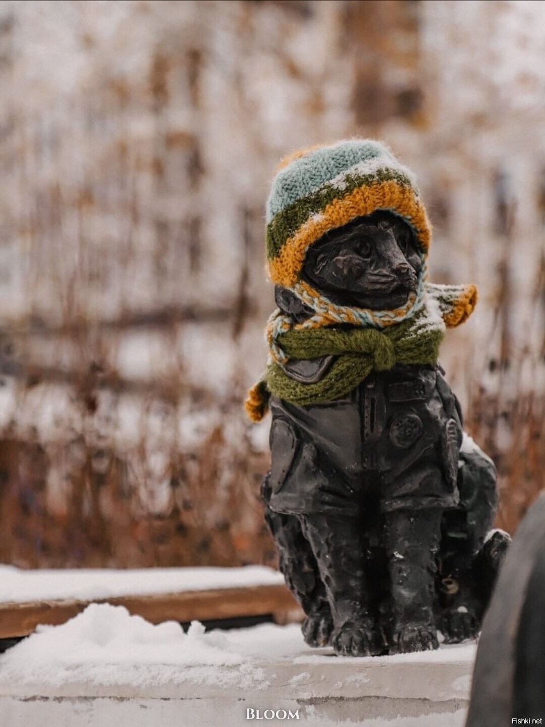 Кот Семён жил в 135-й пожарно-спасательной части Тюменской области