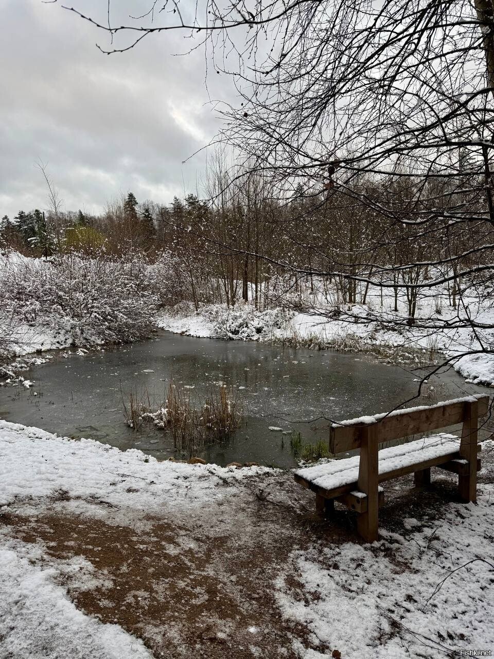 Мещерский парк