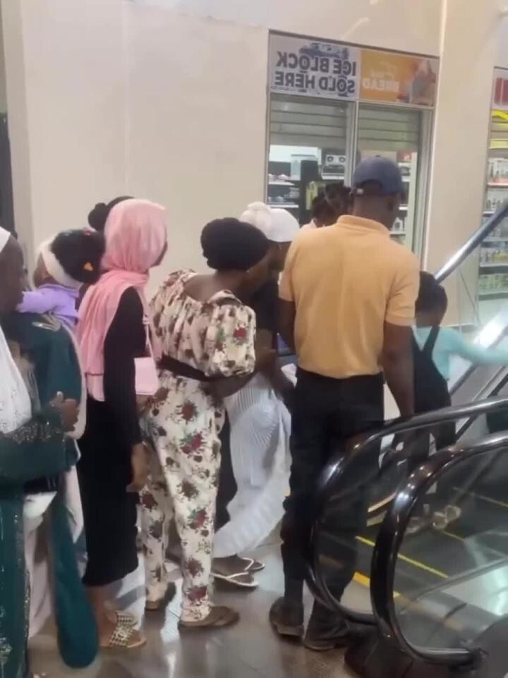 На пальмах такого не было