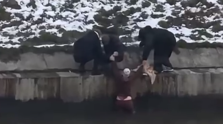 В Петербурге девушка спасла упавшую в канал девочку