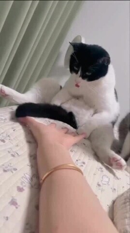 личная жисть сильной и самостоятельной