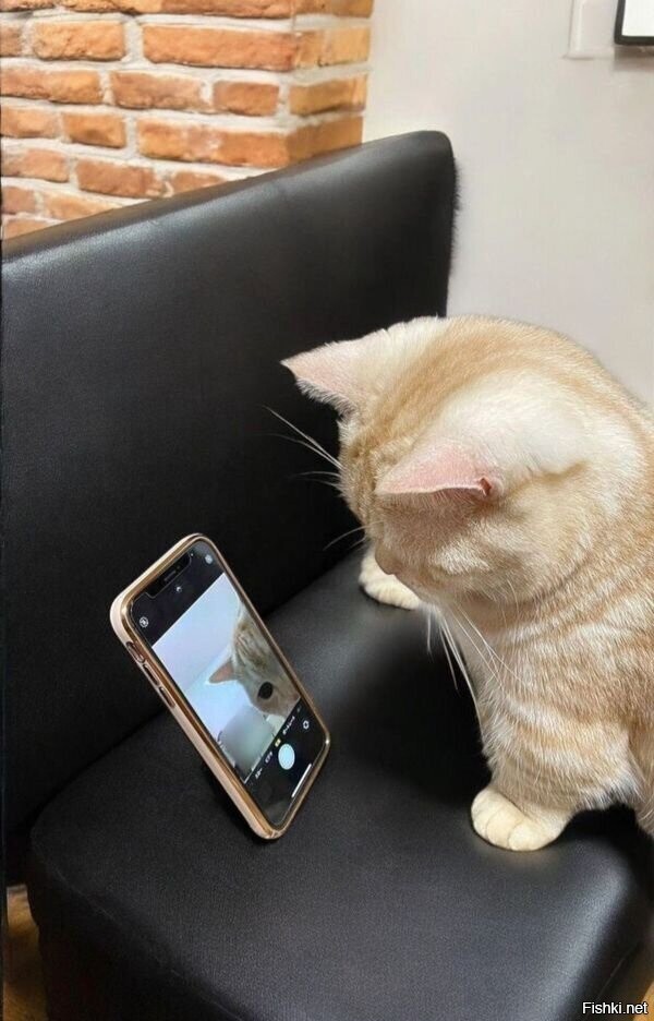 Доброе утро