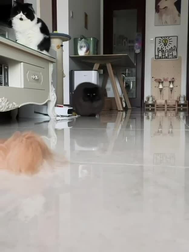 Максимальный уровень пушистости