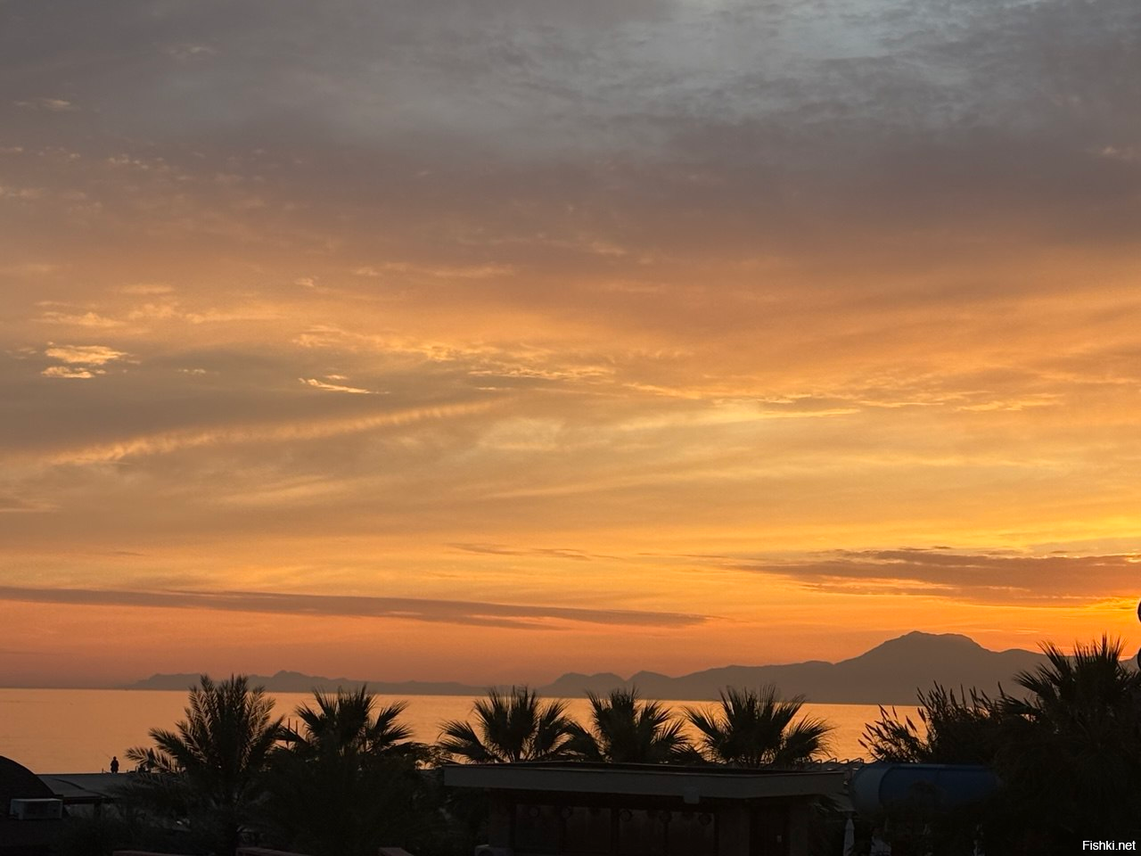 чуть берега, не български )