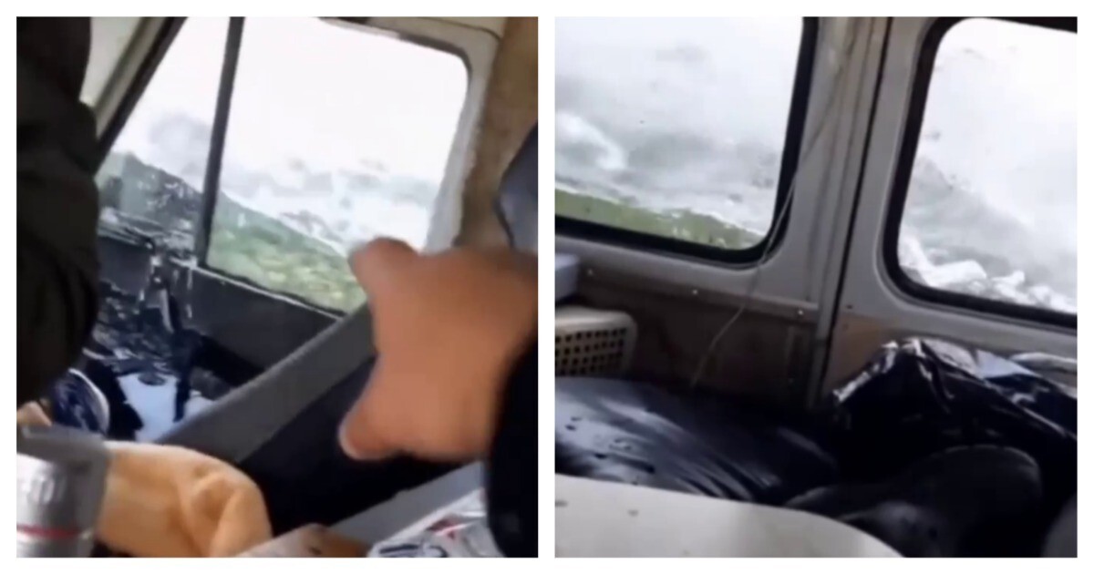 Любитель красивого дна