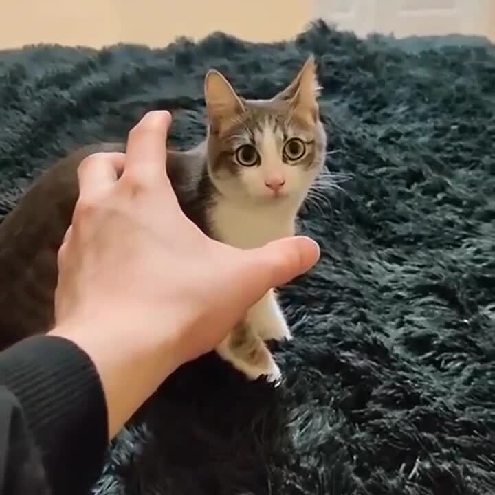 Стало жутко