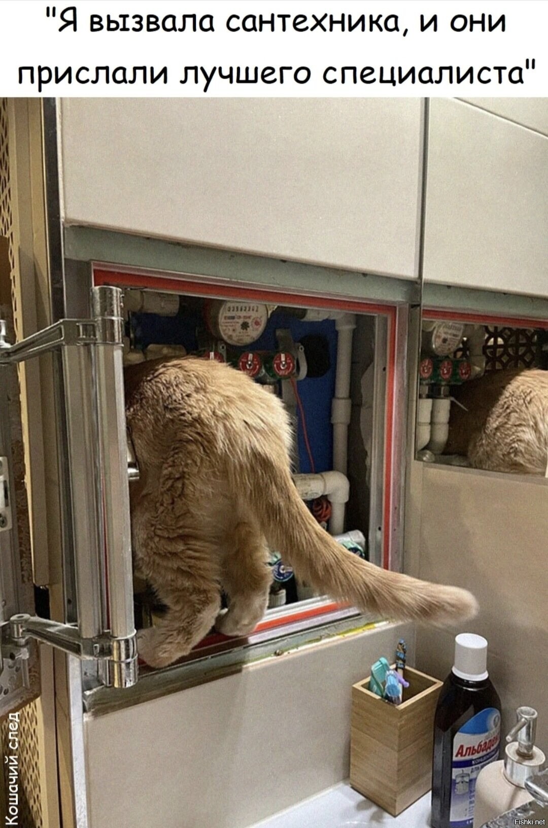 Доброе утро