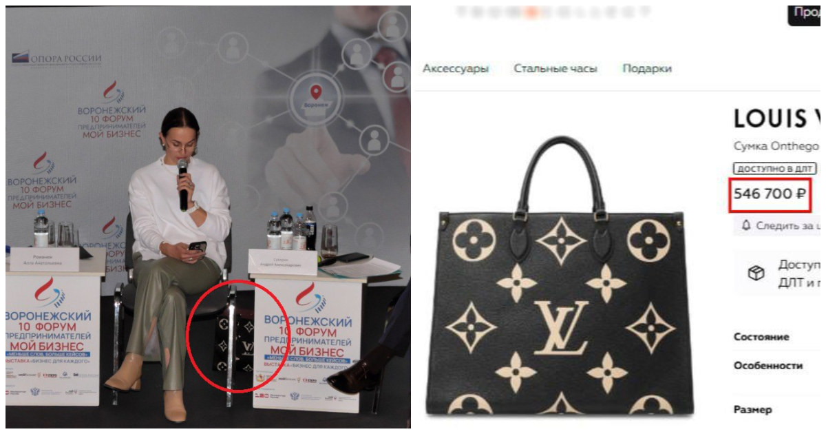 ️Вице-мэр Воронежа отчитала горожан и назвала их токсичными - в отместку ей задали вопросы про очень дорогую сумку