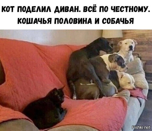 С ним спорить - себе хуже