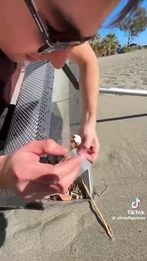 Кто рано встаёт, тому бог даёт 