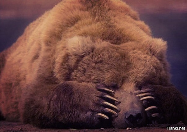 Раз,два,три,четыре ,пять ,кто спать не лёг 