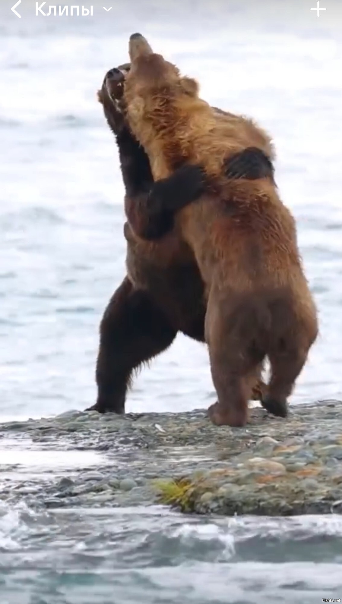 Я пригласить хочу на танец Вас и только Вас