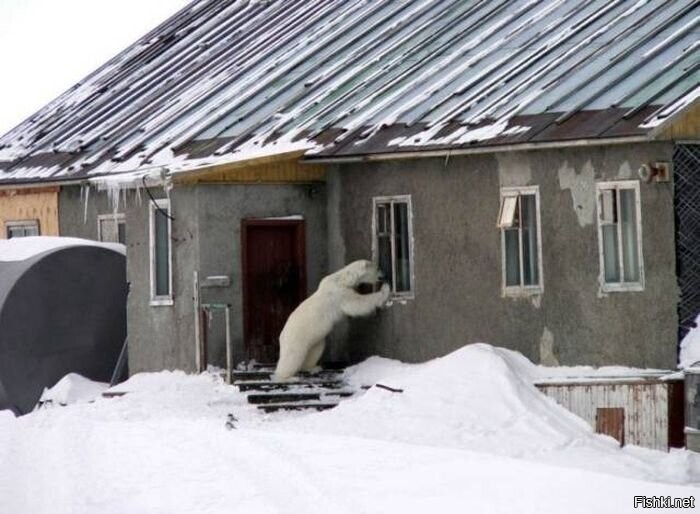Алё хозяева 