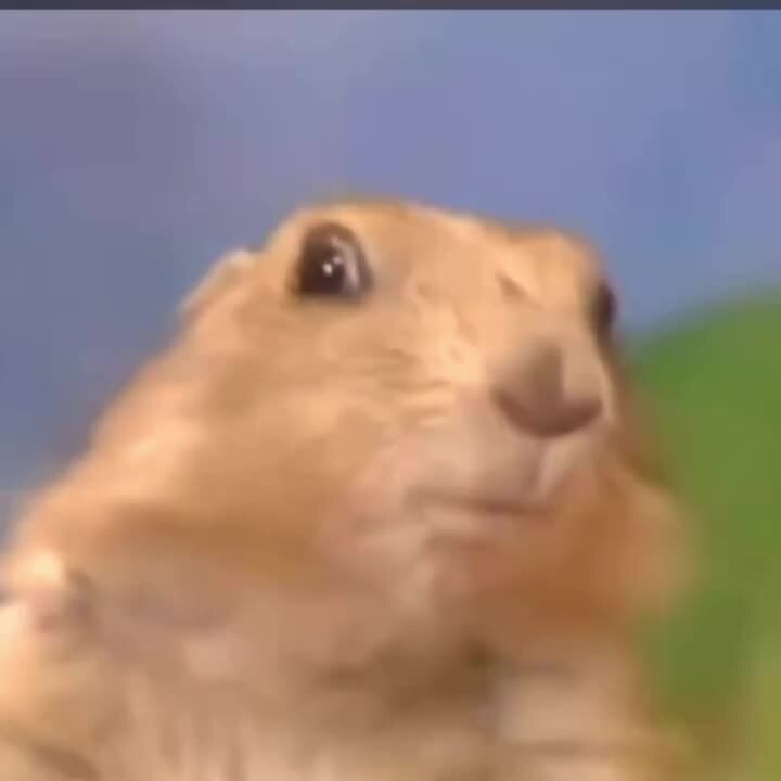 Спокойной ночи