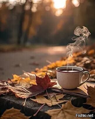 С добрым утром