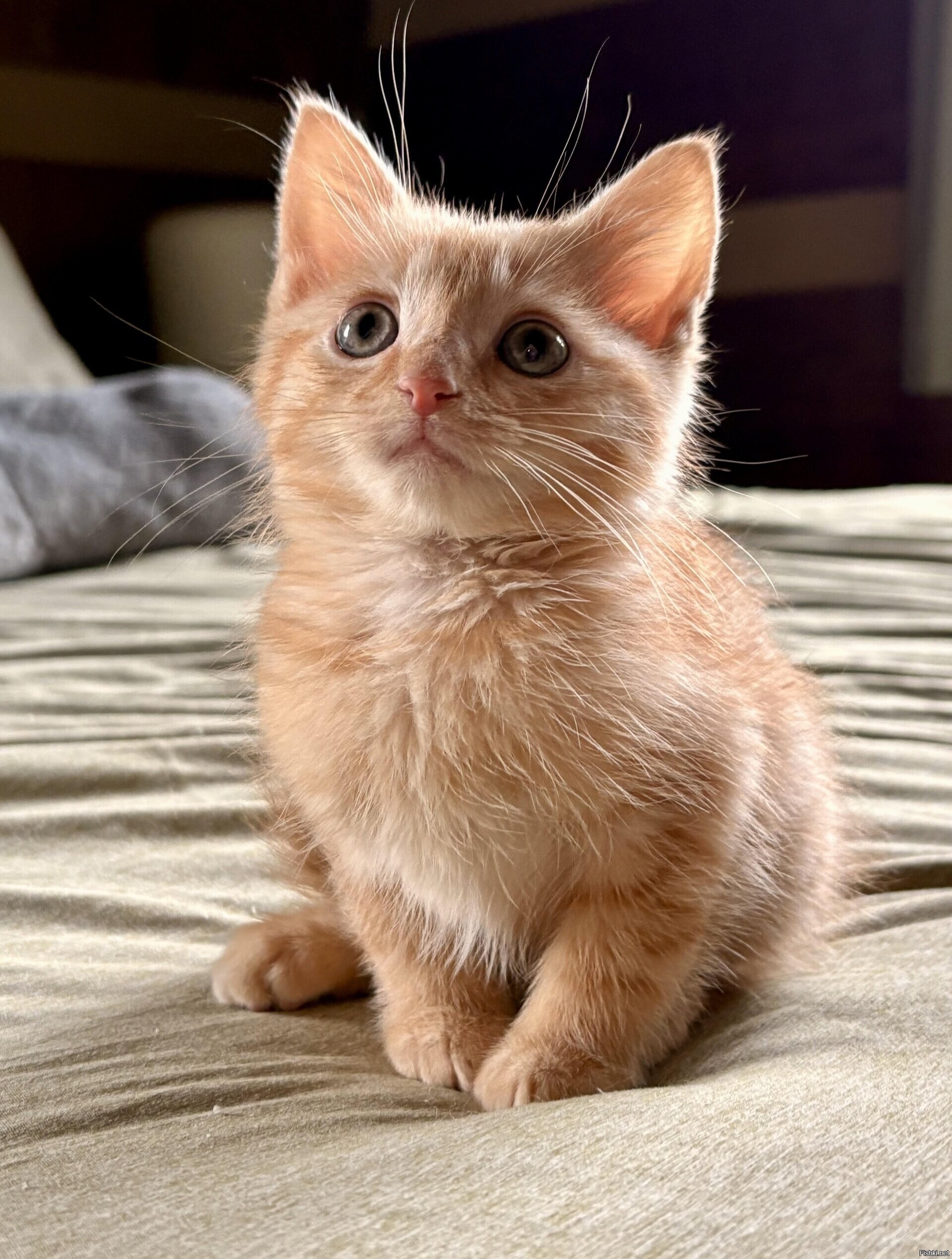 Доброе утро