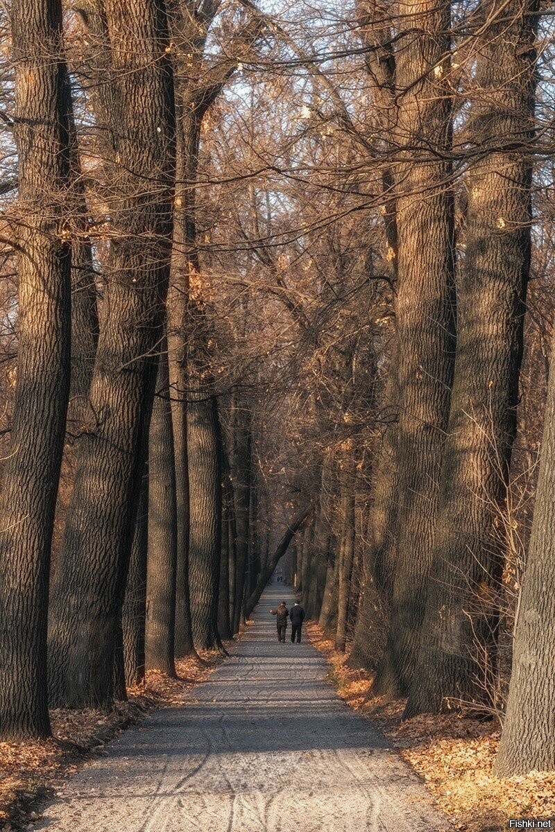 Поздняя осень в роще Баума в Алма-Ате