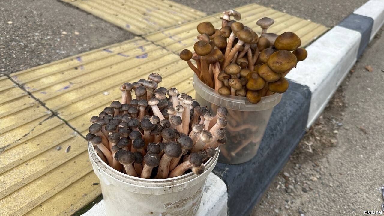 Краснодар, сегодня