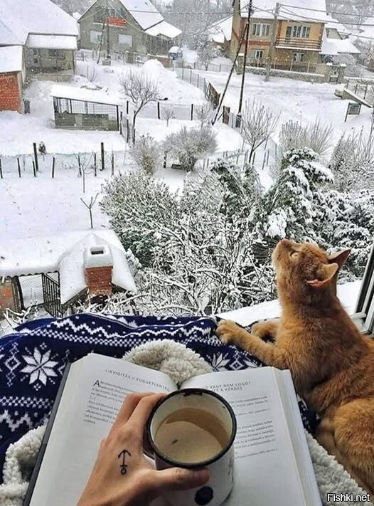 С добрым утром