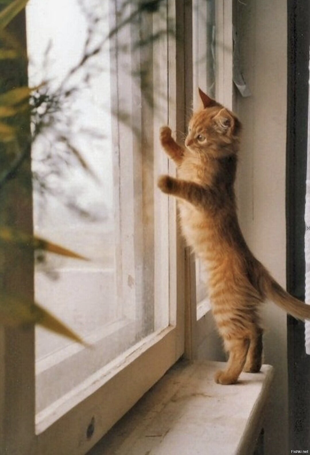 Доброе утро