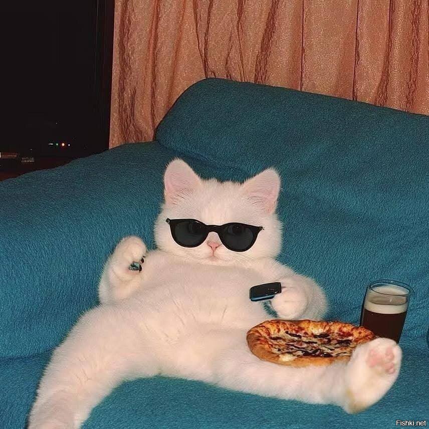 Сегодня День крутого парня